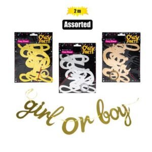 Party banner boy/girl 2m asstd