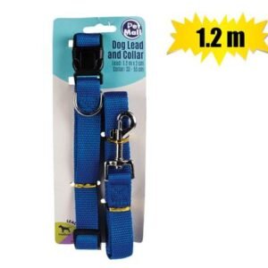 Pet dog-collar + lead set