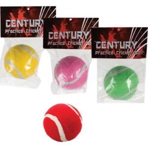 Ball cricket practice